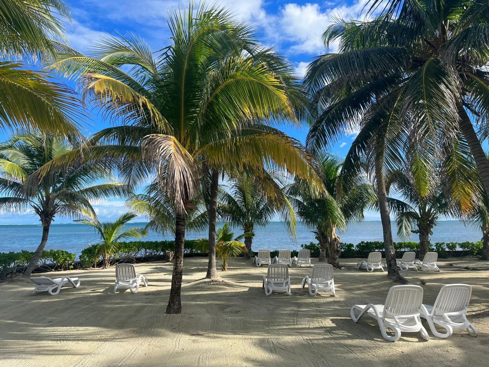 סן פדרו Captain Morgan'S Retreat מראה חיצוני תמונה
